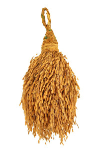 Paddy Bunch 250 Grams